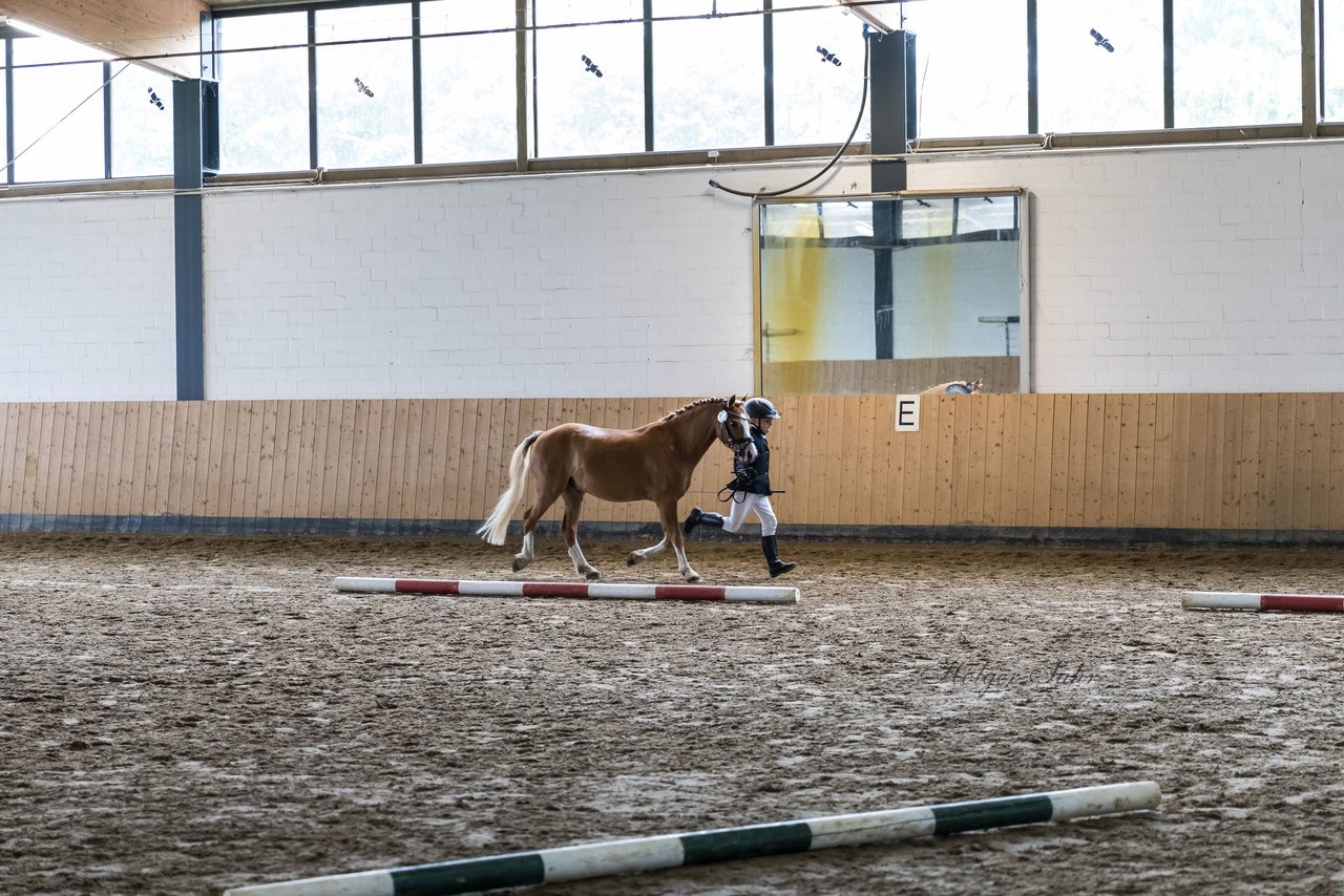 Bild 20 - Pony Akademie Turnier